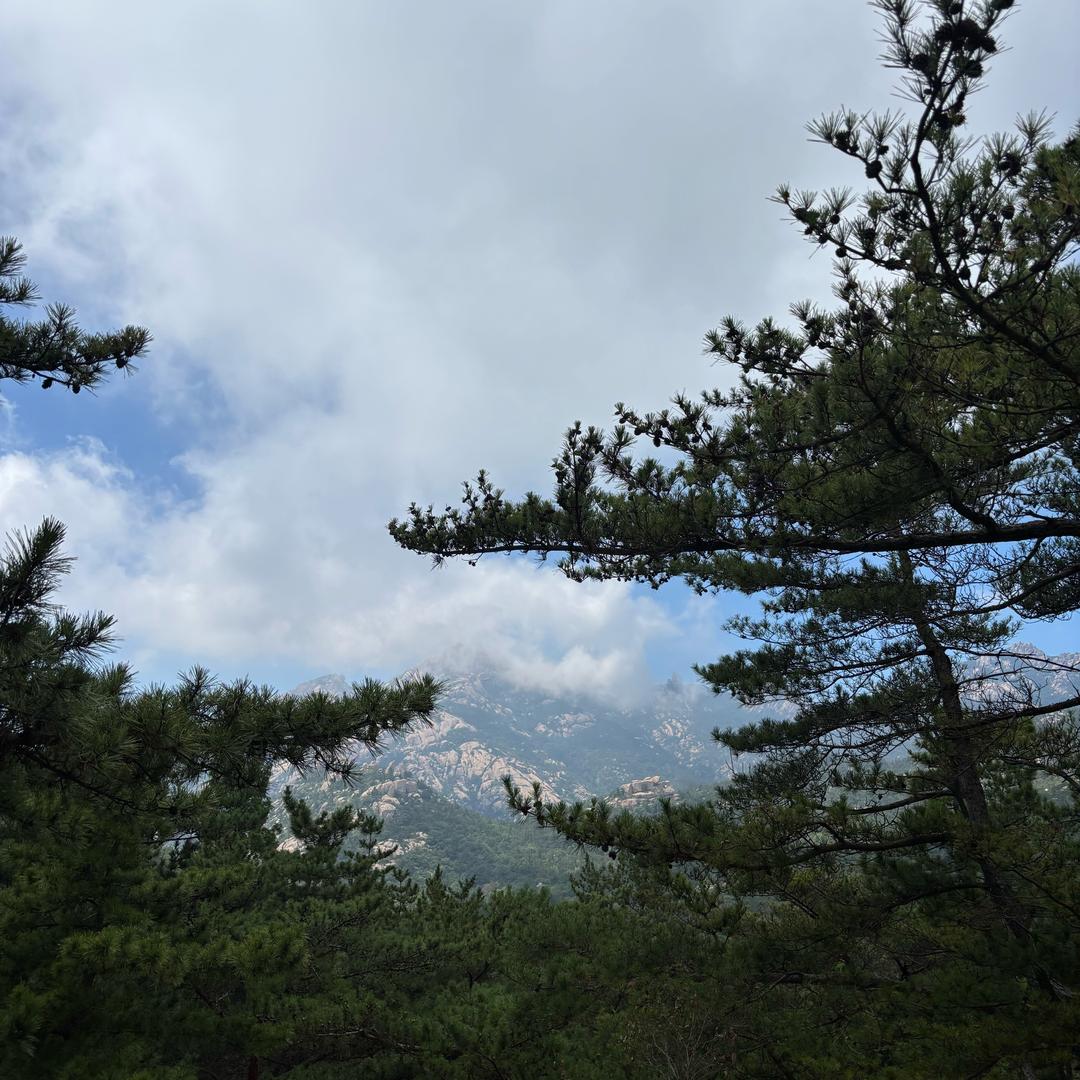 🦚都挺好🦚
