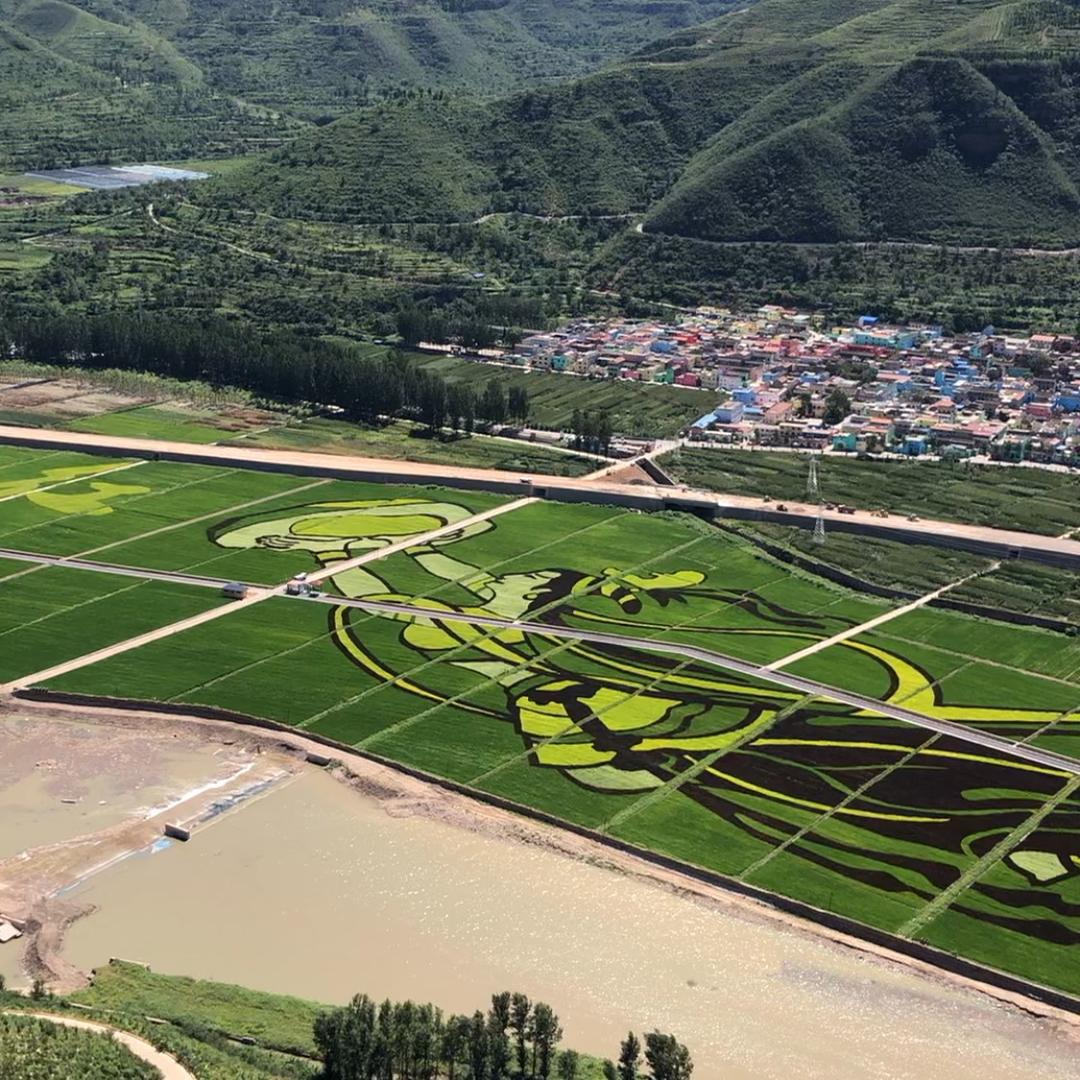 悦悦在路上