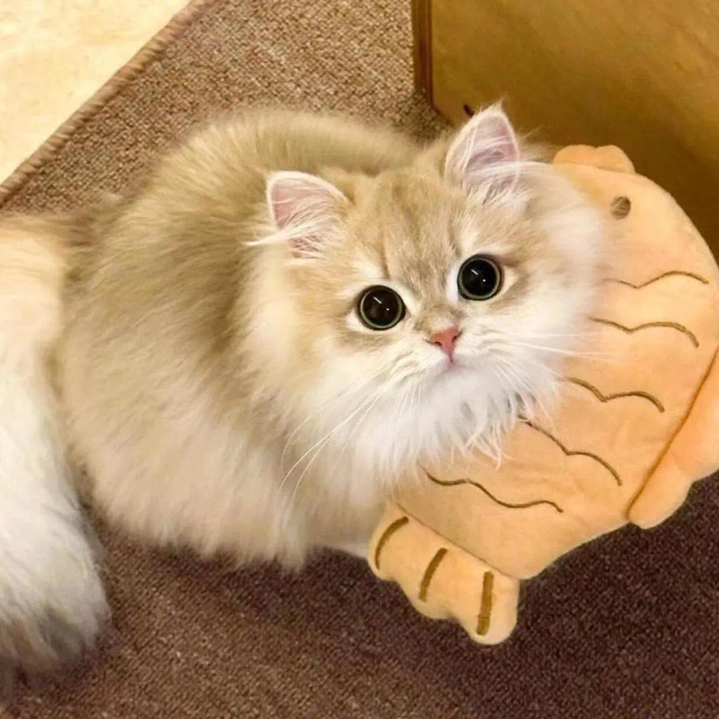 小源不想洗碗