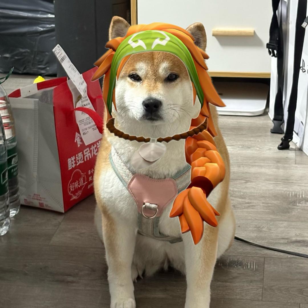 花冈岩🪡