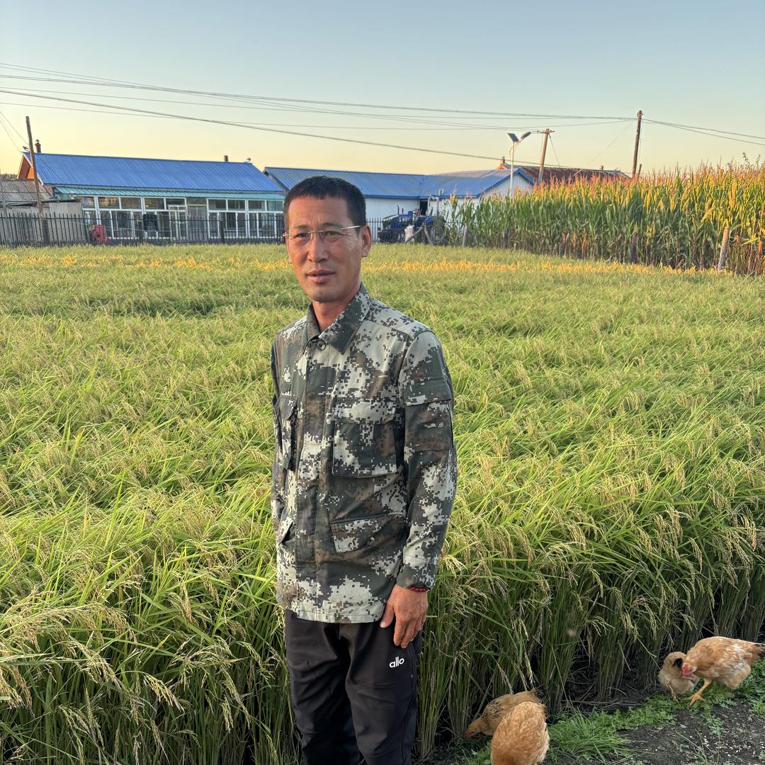 张老民子五常大米