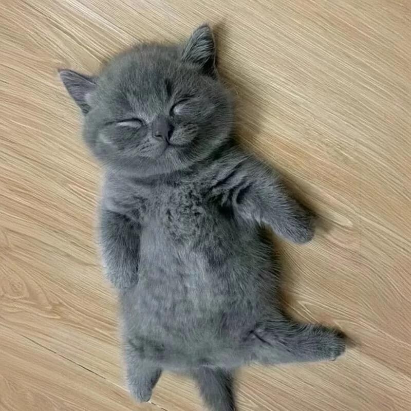 可儿💍