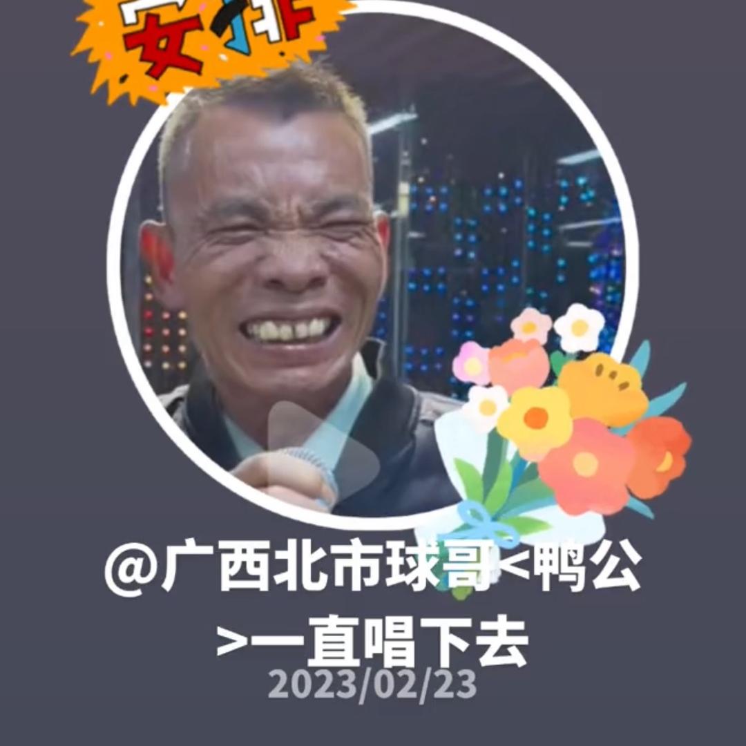 鸭公