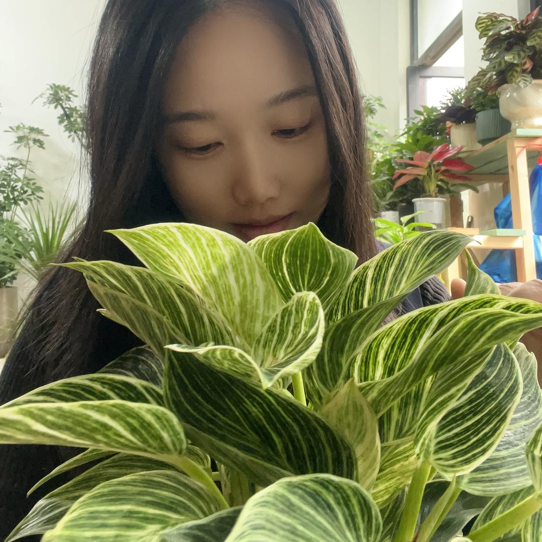 栀虞、