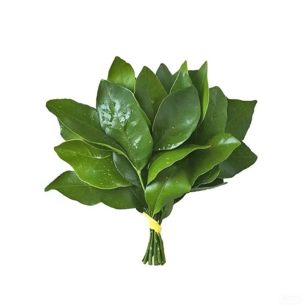 .   挺好