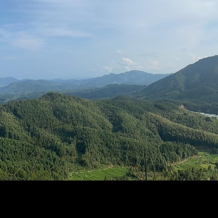 南平闽瓯铝业田景超