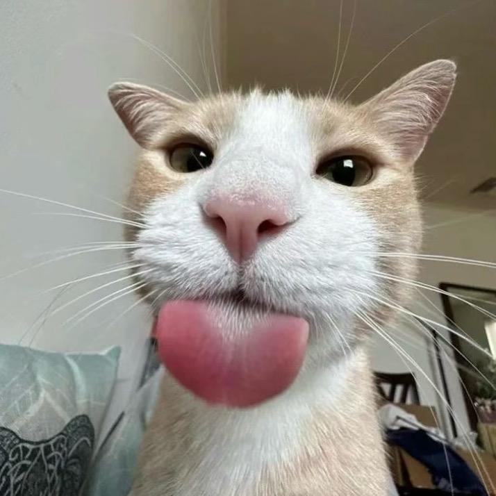 哒哒哒