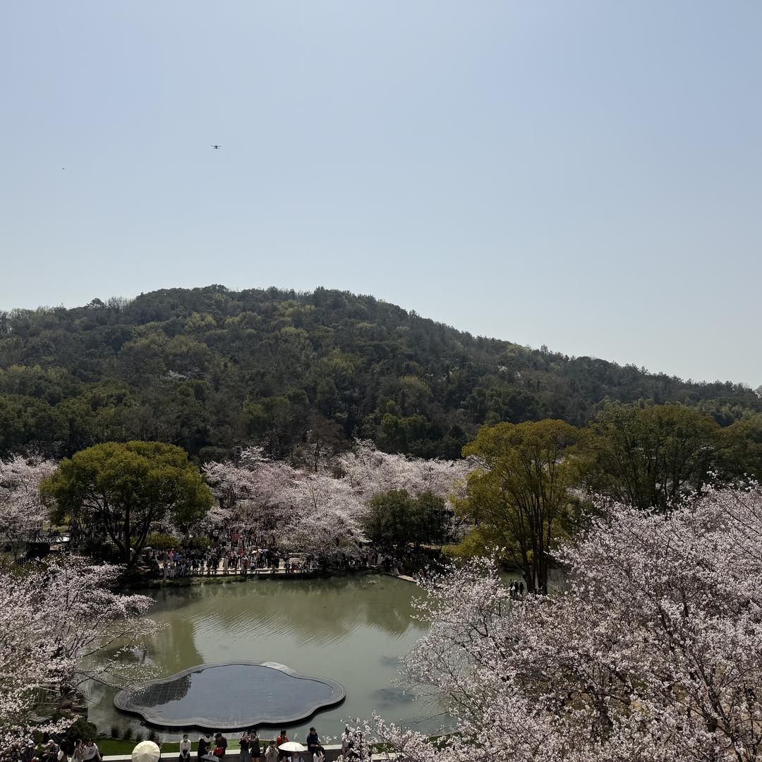 安心花卉EB经营部