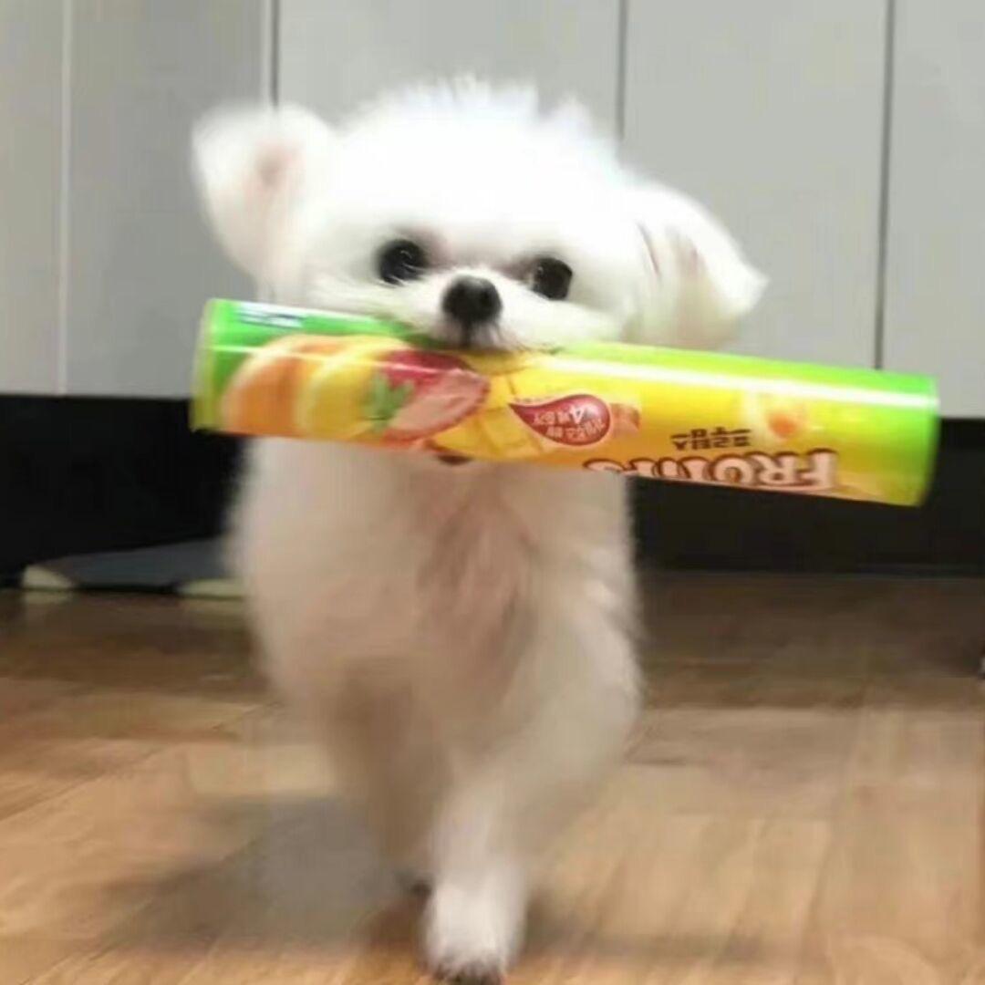 jyyyyyy