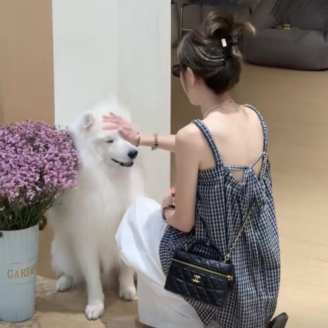 @上海卖车的小姐姐