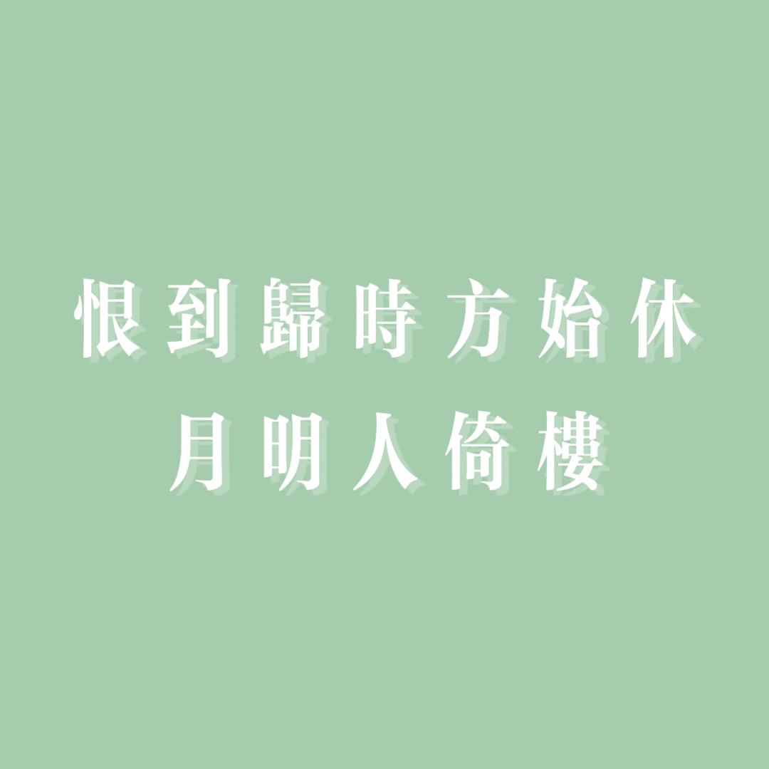 白猫麦旋风
