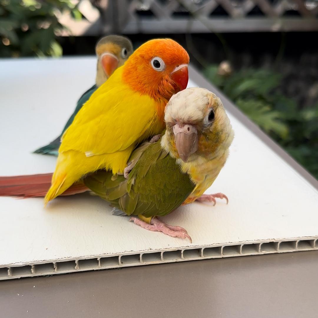 。。！