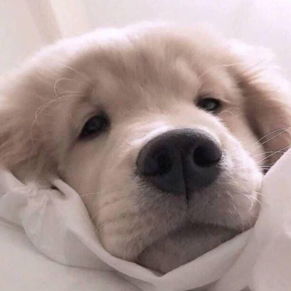 郑经人