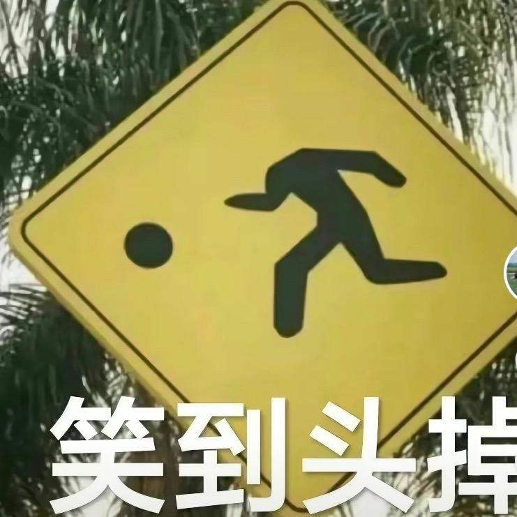智淇