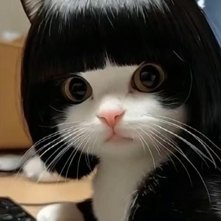朵朵🐈‍⬛