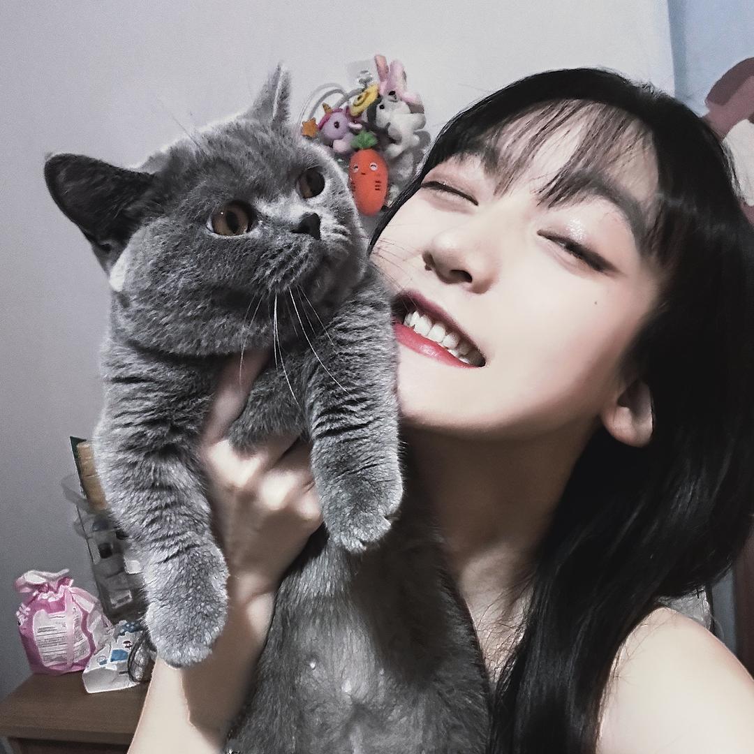 鱼丸粗小面