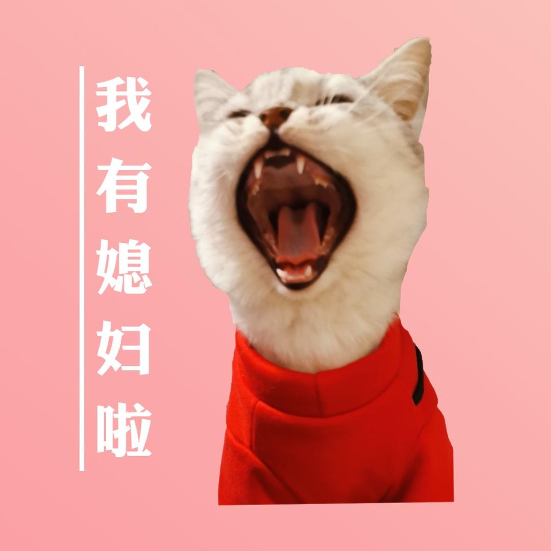 爱抱抱的王滚滚