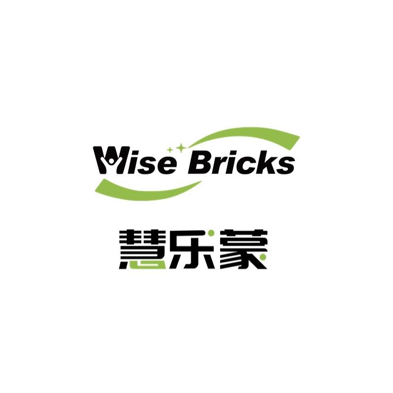 慧乐蒙Wise Bricks
