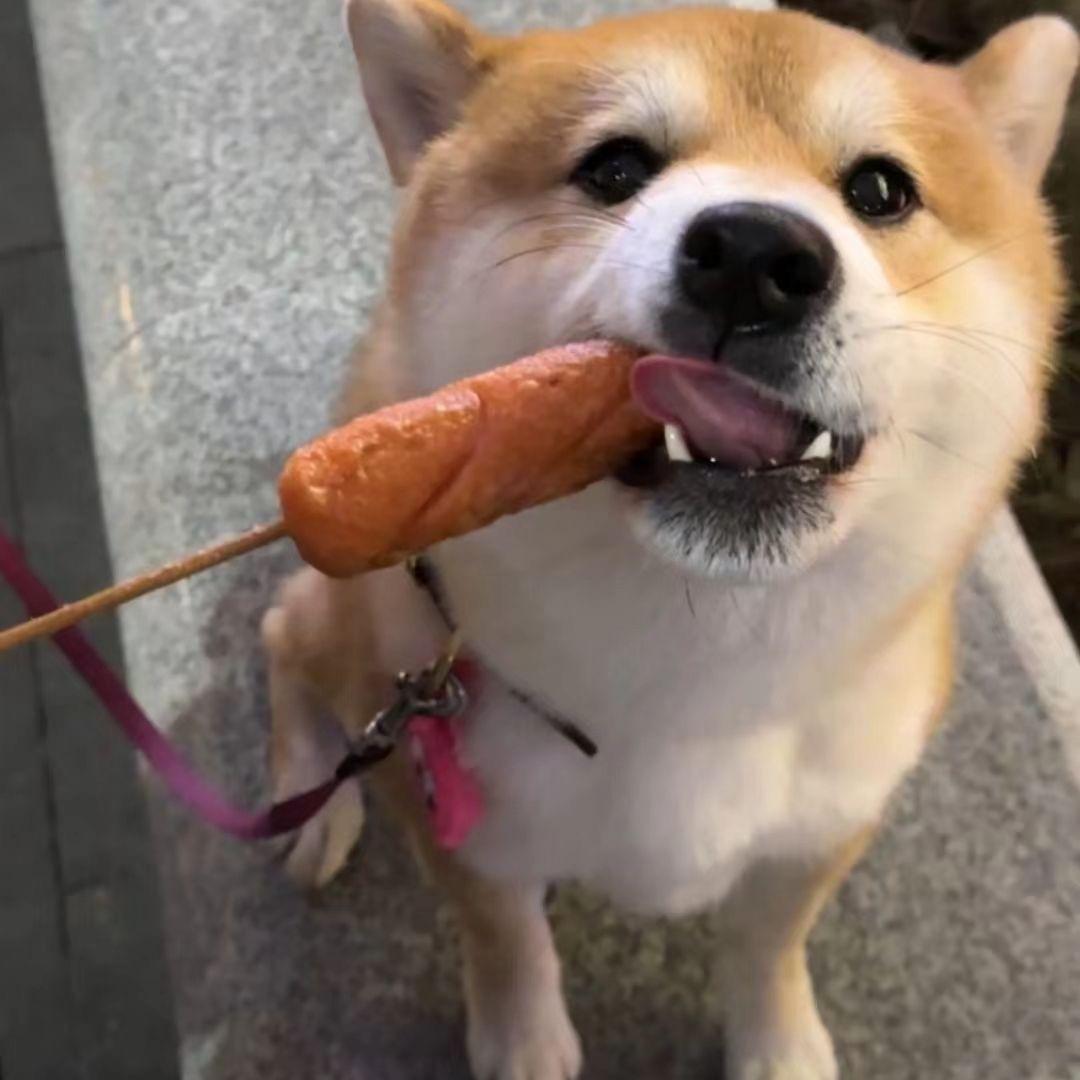 迷人的危险
