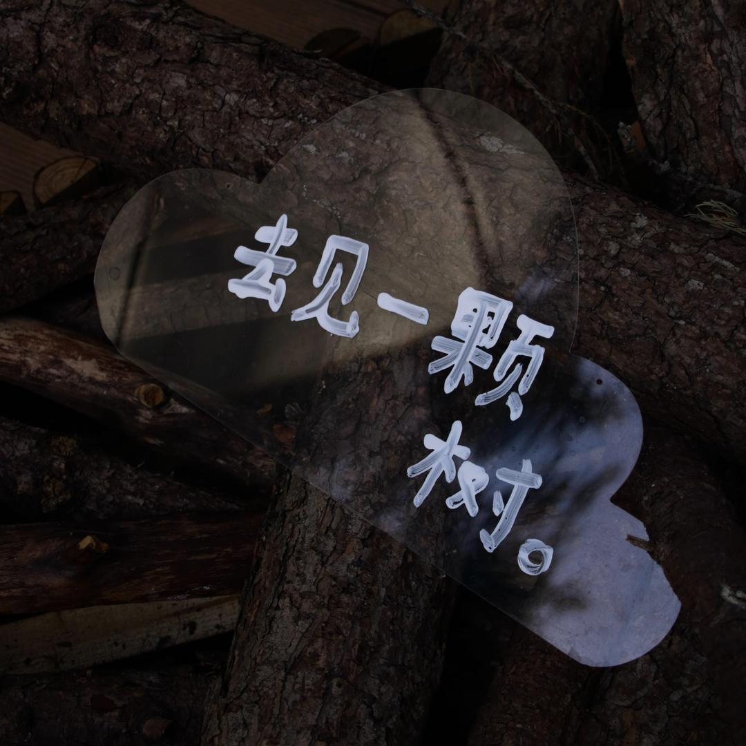 西飨小镇