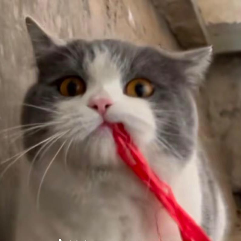 影兒