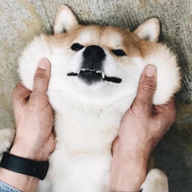 老四旋子