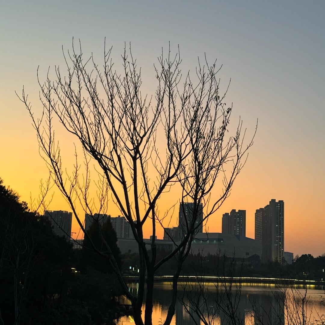 程序员子毅