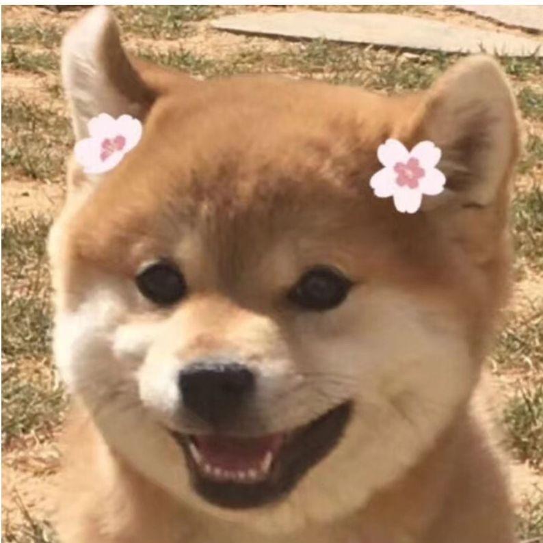 二三