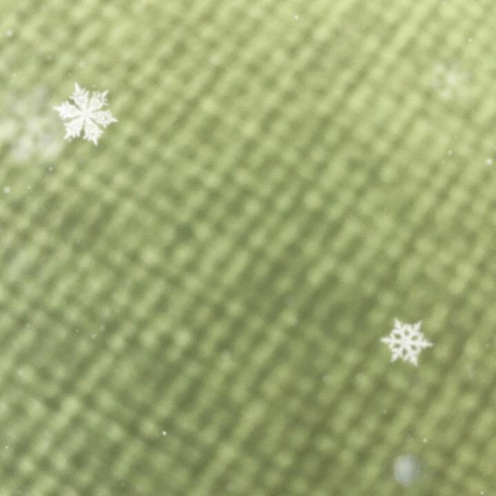 西红柿打卤面