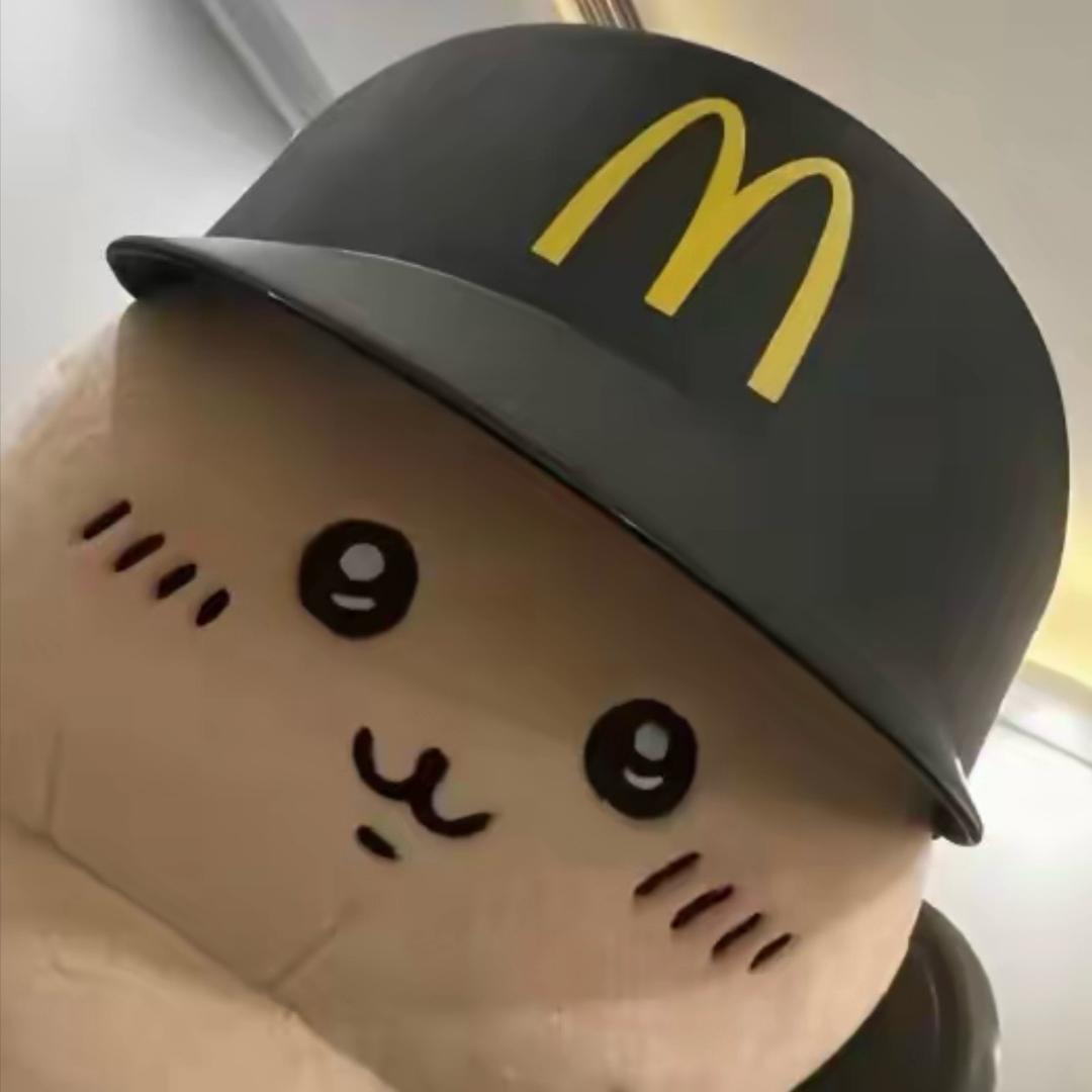 1ao
