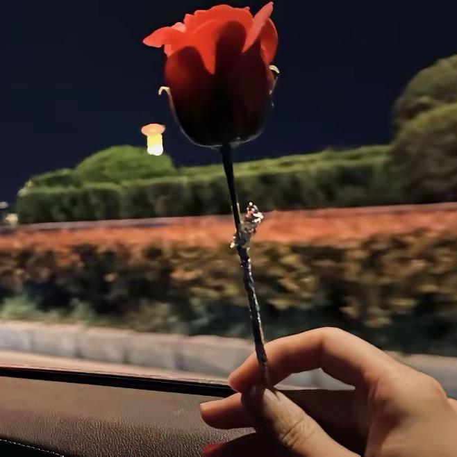 林中鸟