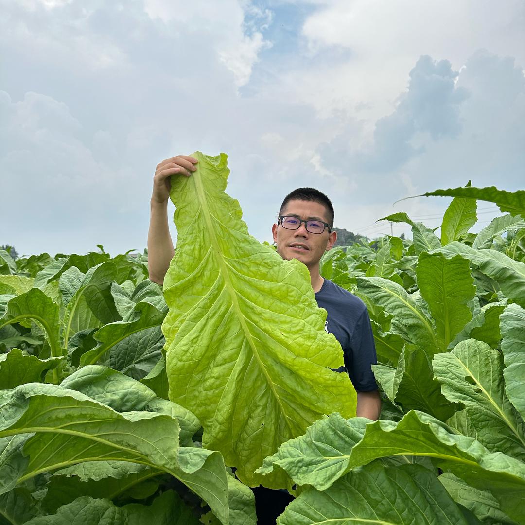 高老师讲烘烤