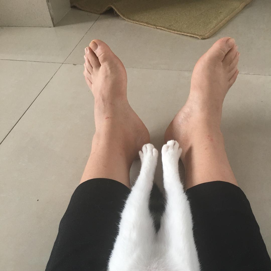 🐱猫🐱