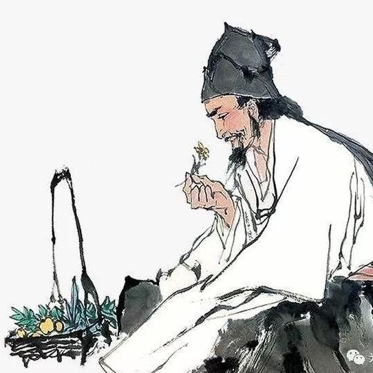 阿宝爱分享