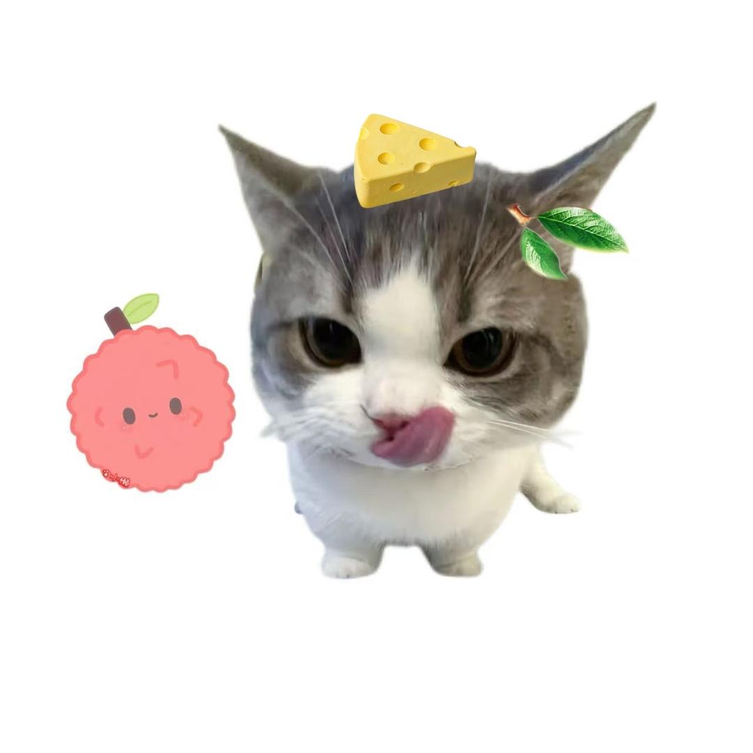 荔枝芝0.0