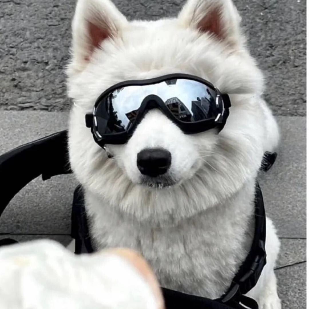 泽.