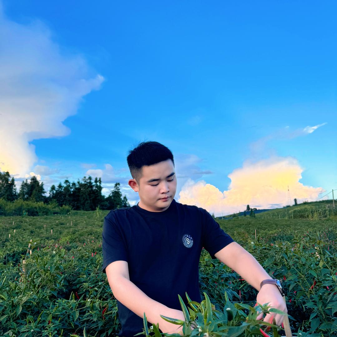 滇茂农业·（肖扬）