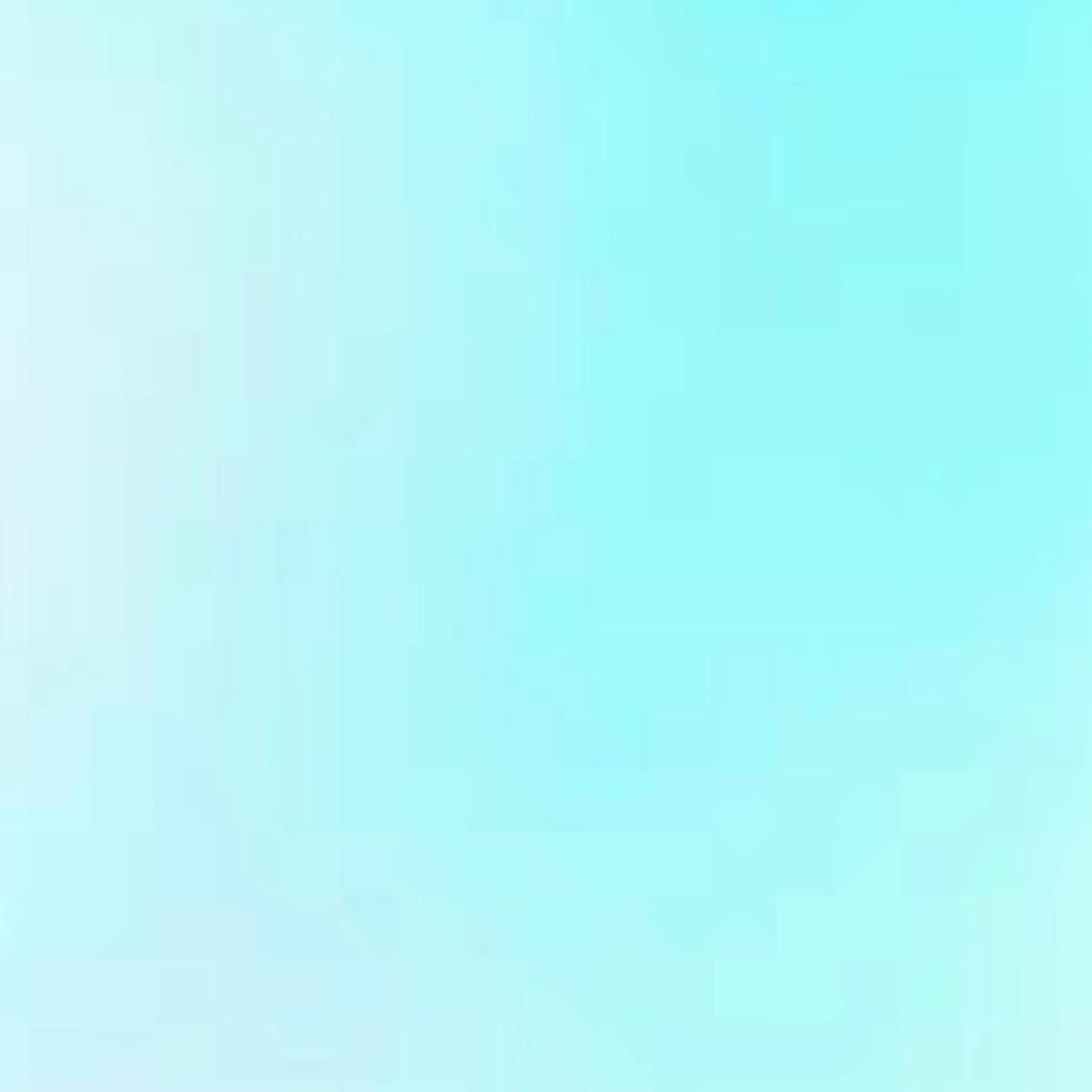 小杨咩咩🐑