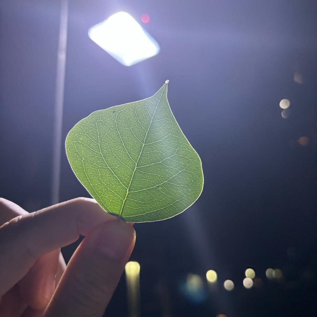 追风的少年