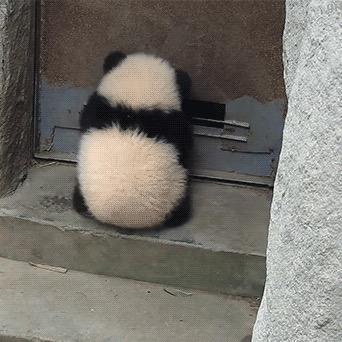 北北北北北