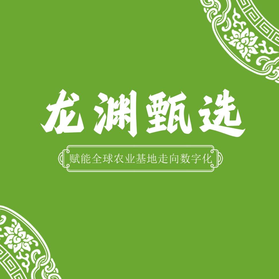 龙渊甄选