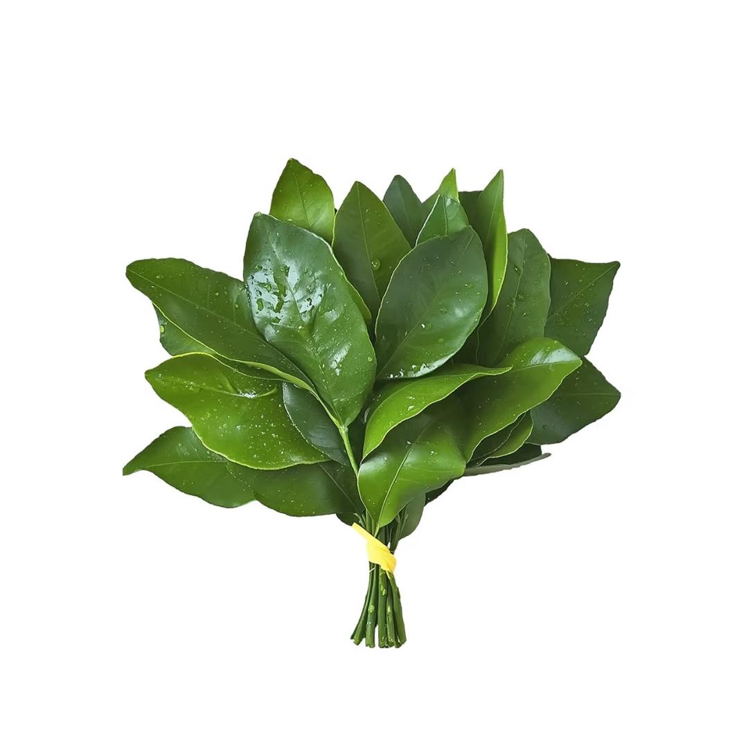 RE