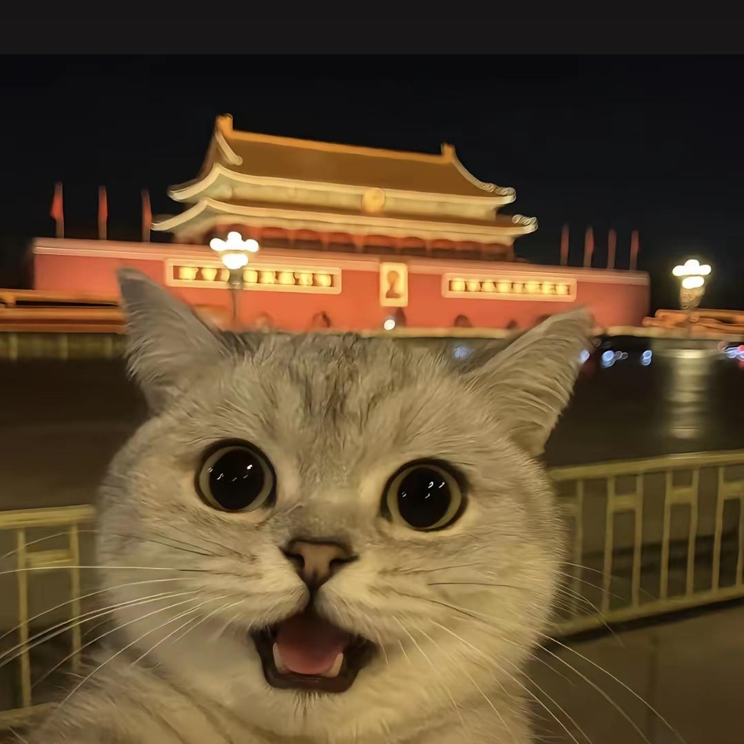 倾城