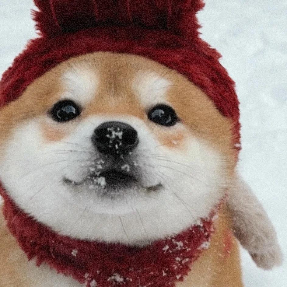 臭屁不臭