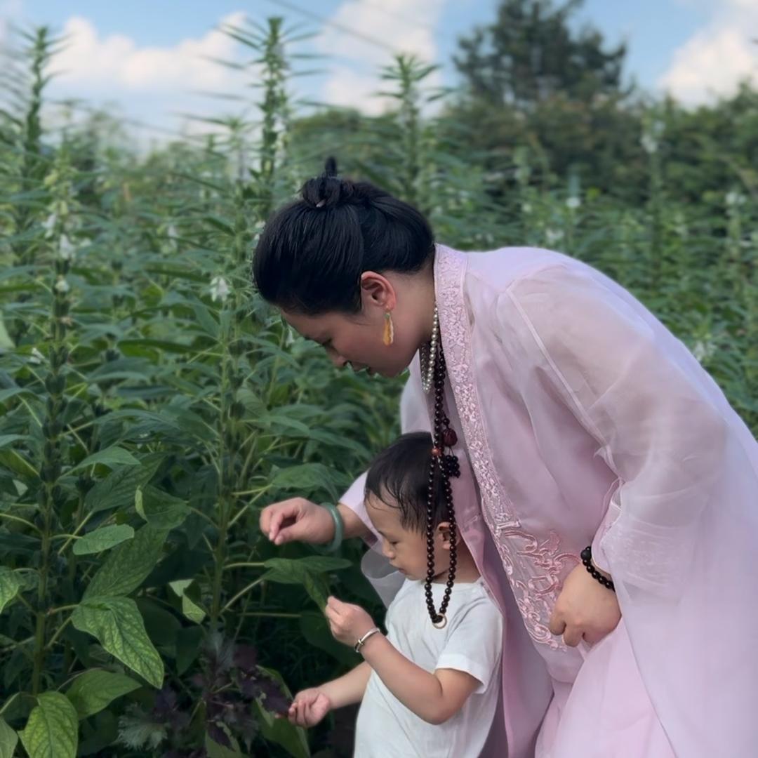 乐哈哈的生活