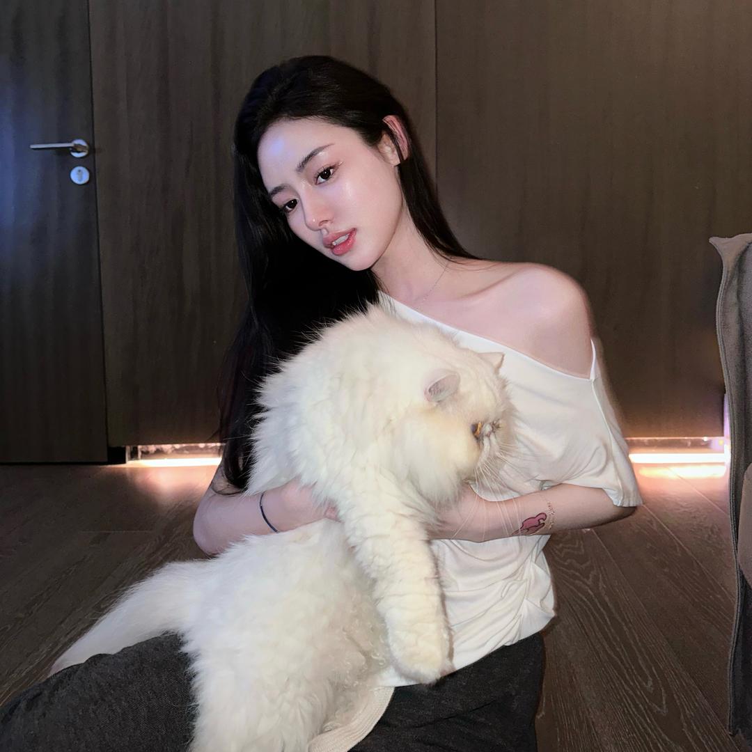 蒸蒸日上的猪