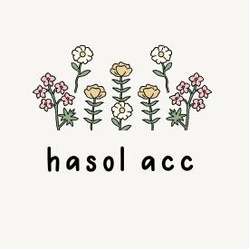 Hasol韩国饰品（生孩子休息中）