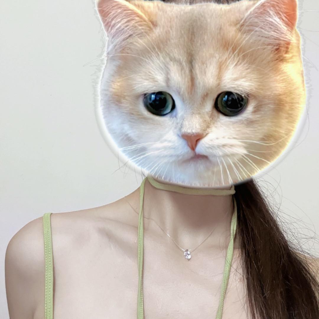 泡泡鲤🐟