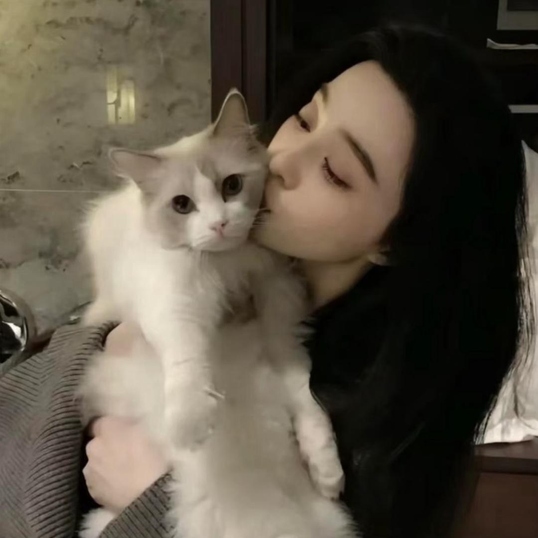 qq蹦