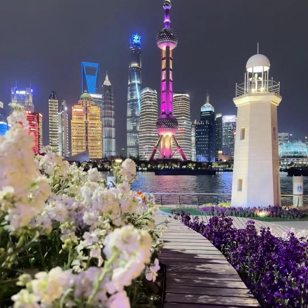 金坤泰